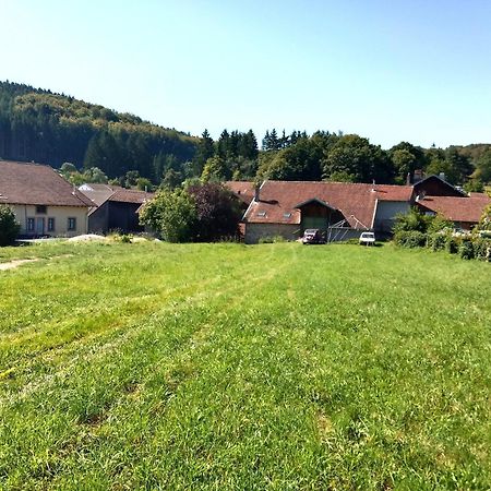 Gite Le Geleinfete II Vosges A Proximite De Gerardmer Herpelmont Exterior photo